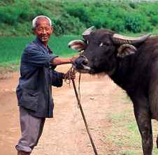小型飼料顆粒機,農(nóng)民圓夢！
